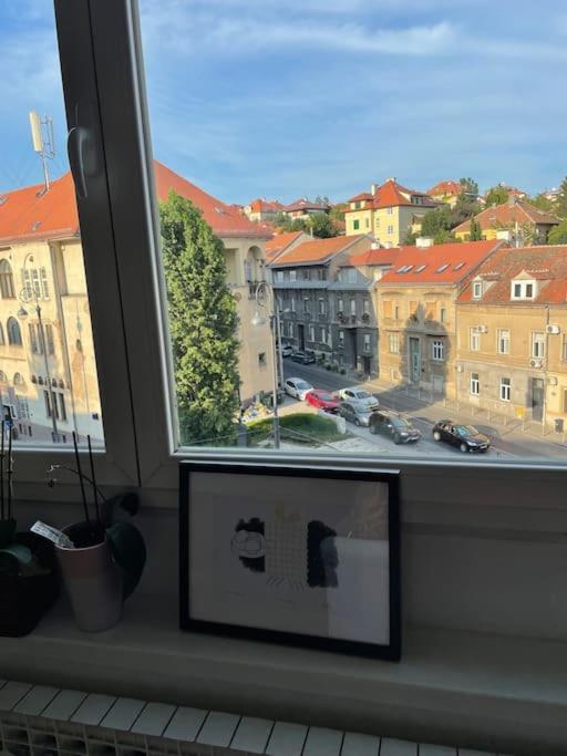 Spacious 3Br/2Bt Apartment With A/C In City Center Zagreb Ngoại thất bức ảnh